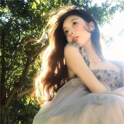 银狐
